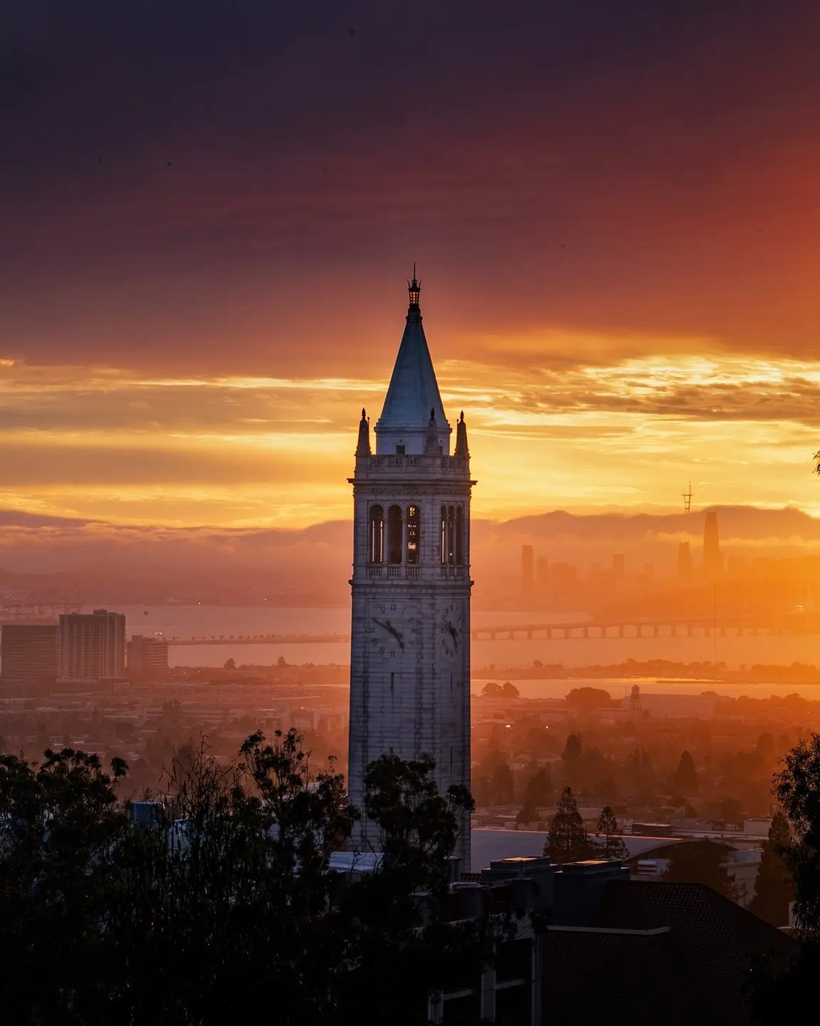 Berkeley Tower
